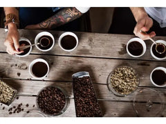 Kaffe ZOÉGAS Bönor Mollbergs 750g Primmeshiper