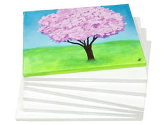 Målarduk 90x120x3,7 cm - Primmeshiper