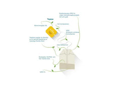 Te PUKKA Örtte Vanilla Chai 20/fp - Primmeshiper