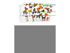 Djurstickers 300/fp - Primmeshiper