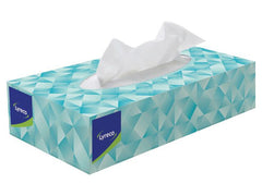 Ansiktsservett LYRECO 2-lags 100/fp - Primmeshiper